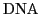 $ \mathrm{DNA}$